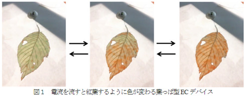 落ち葉型ディスプレイの色変化