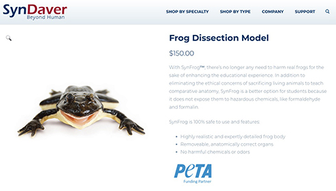 リアルすぎる人工カエルで解剖実験　フロリダ州の高校が世界に先駆け実施