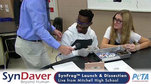 リアルすぎる人工カエルで解剖実験　フロリダ州の高校が世界に先駆け実施