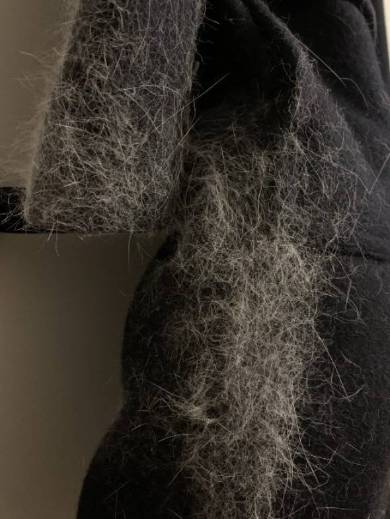 猫毛100％ てふちゃん