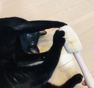 ブラシつかみ黒猫