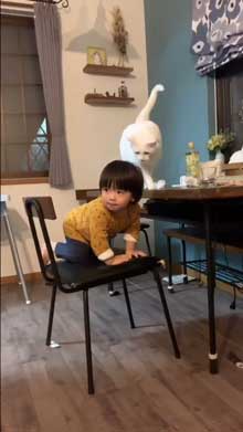 お世話猫