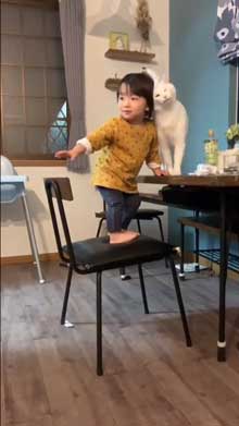 猫 子守 シッター プロ 椅子 テーブル 上がる 子ども 息子 ガード 賢い