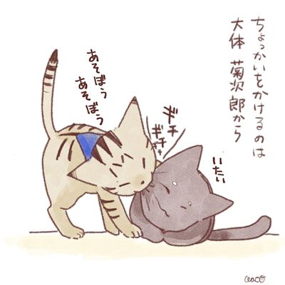 菊夏絵日記1