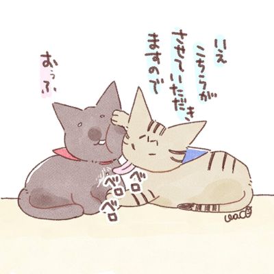 けづくろいのはなし4