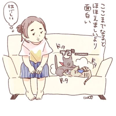 けづくろいのはなし7