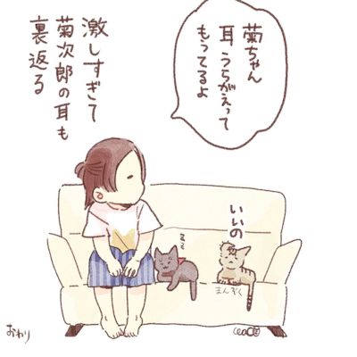 けづくろいのはなし9