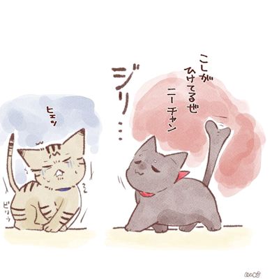 菊夏絵日記4