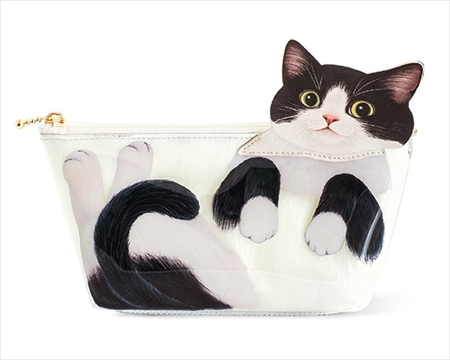 猫は液体ポーチ