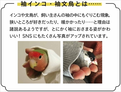 フェリシモ　小鳥ポーチ