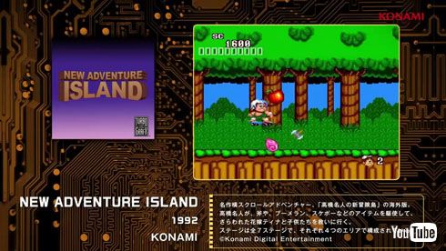 NEW ADVENTURE ISLAND
