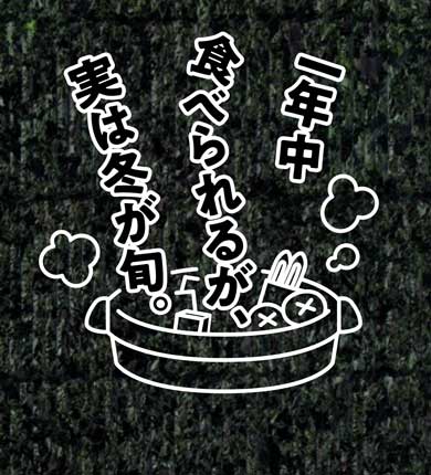 佐賀県 海苔扱い説明書 佐賀海苔 自動販売機 第2弾 デザイン