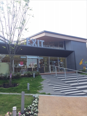 キーウィぬいぐるみ