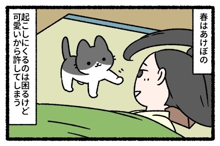 枕草子な猫