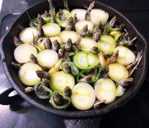料理 ネギ アヒージョ 小うるめ 出汁 刺さる 顔 怖い スターゲイジー