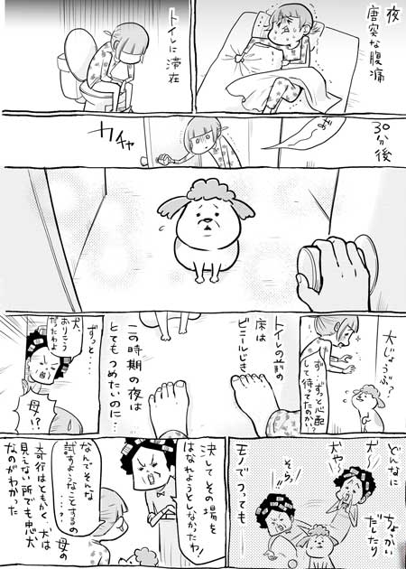 犬と猫どっちも飼ってると毎日たのしい 漫画 松本ひで吉 4巻 かわいい 動物 日常