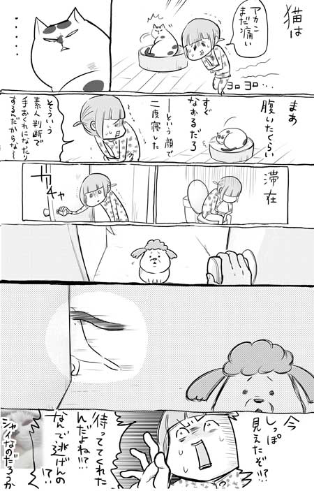 犬と猫どっちも飼ってると毎日たのしい 漫画 松本ひで吉 4巻 かわいい 動物 日常