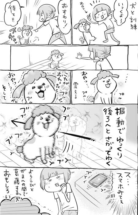 犬と猫どっちも飼ってると毎日たのしい 漫画 松本ひで吉 4巻 かわいい 動物 日常