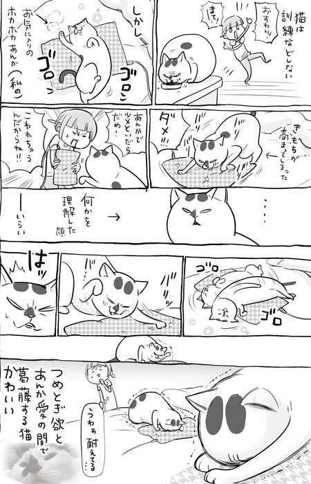 犬と猫どっちも飼ってると毎日たのしい 漫画 松本ひで吉 4巻 かわいい 動物 日常