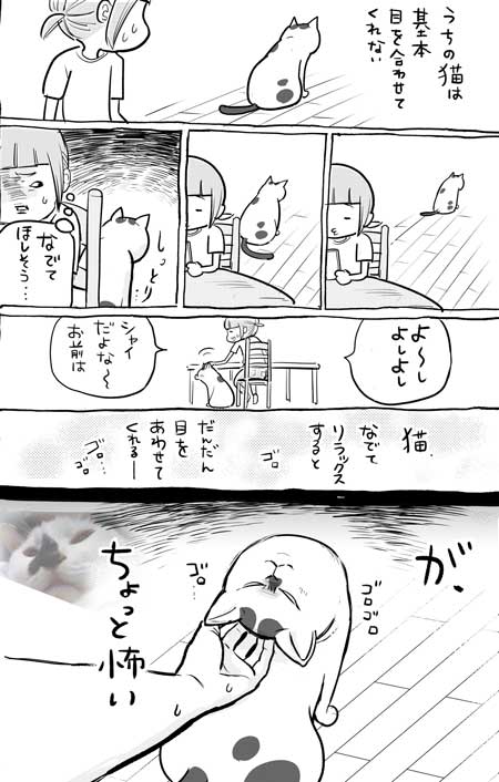 犬と猫どっちも飼ってると毎日たのしい 漫画 松本ひで吉 4巻 かわいい 動物 日常