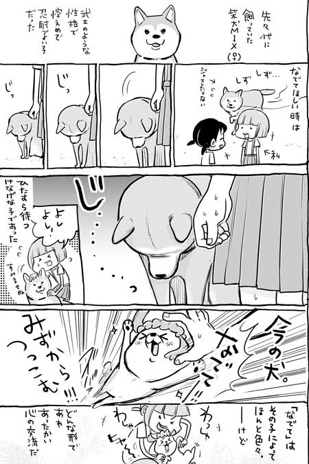 犬と猫どっちも飼ってると毎日たのしい 漫画 松本ひで吉 4巻 かわいい 動物 日常