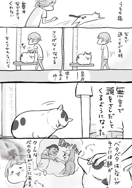 犬と猫どっちも飼ってると毎日たのしい 漫画 松本ひで吉 4巻 かわいい 動物 日常