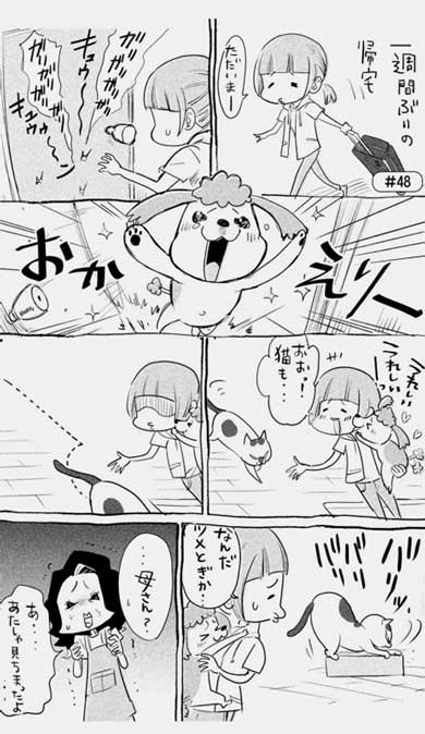犬と猫どっちも飼ってると毎日たのしい 漫画 松本ひで吉 4巻 かわいい 動物 日常