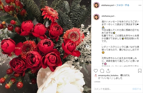 音花ゆり 相武紗季 姉妹 妊娠 出産 宝塚 インスタ