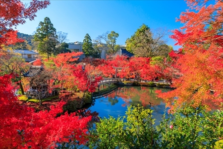 日本人に人気の神社仏閣
