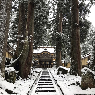 日本人に人気の神社仏閣