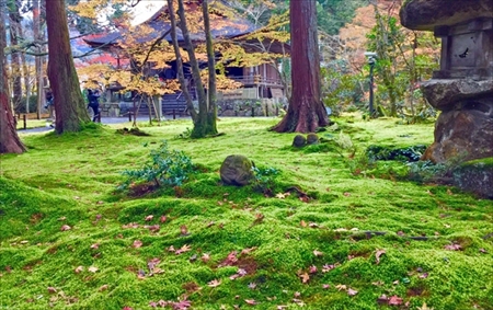 日本人に人気の神社仏閣