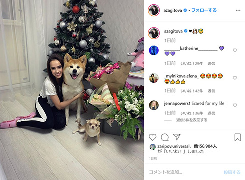 アリーナ・ザギトワ マサル 秋田犬