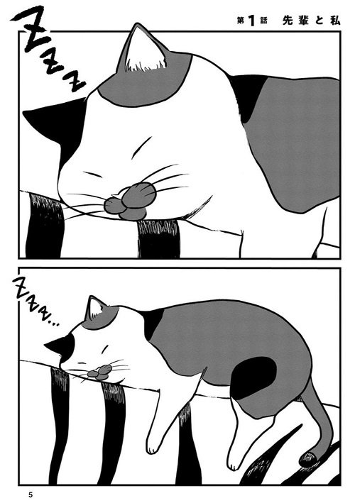 ネコ先輩さすがです！ 
