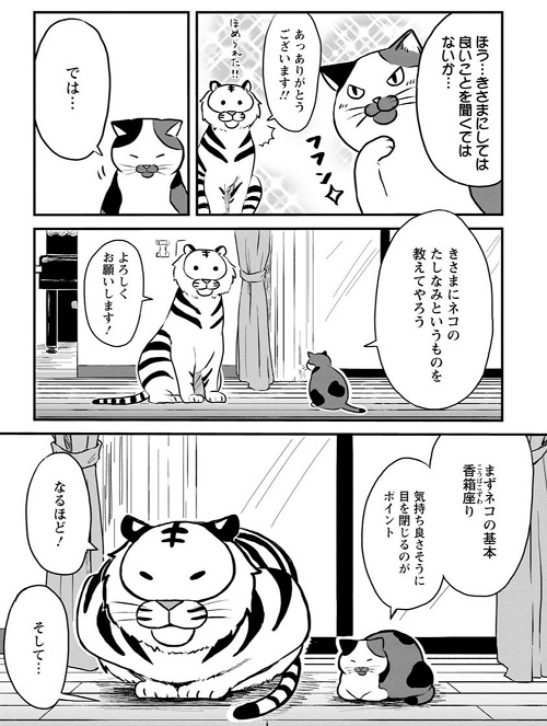 ネコ先輩さすがです！ 