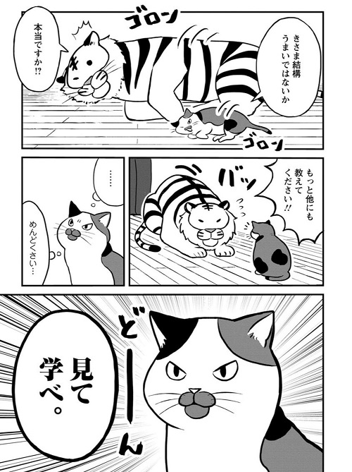 ネコ先輩さすがです！ 
