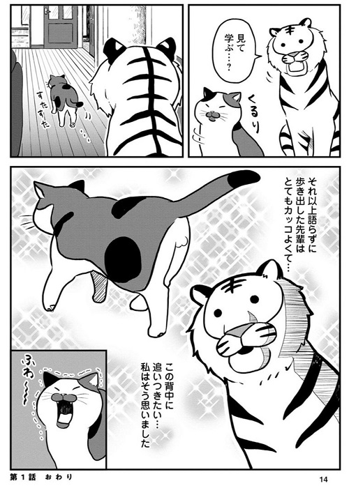 ネコ先輩さすがです！ 