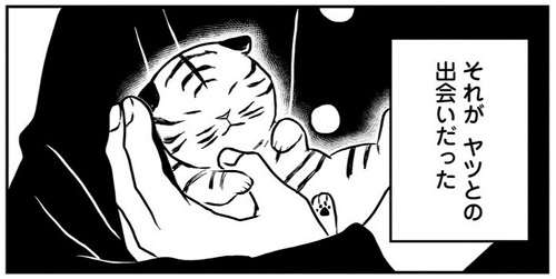 ネコ先輩さすがです！ 