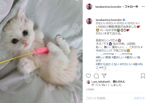 田中れいな ペット チェリー ルナ シンバ 家族