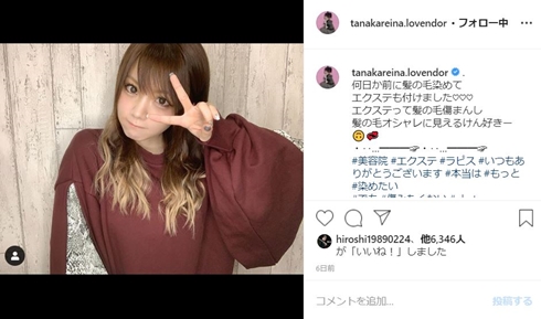 田中れいな ペット チェリー ルナ シンバ 家族