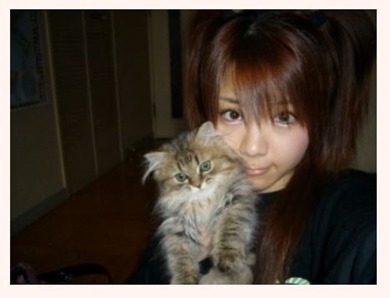 田中れいな ペット チェリー ルナ シンバ 家族