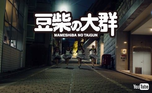 豆柴の大群 りスタート クロちゃん 水曜日のダウンタウン