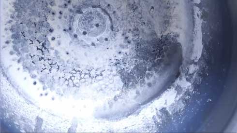 水 油 包丁 圧倒的不審者の極み! 婚活 YouTube 制作 亜麻仁油