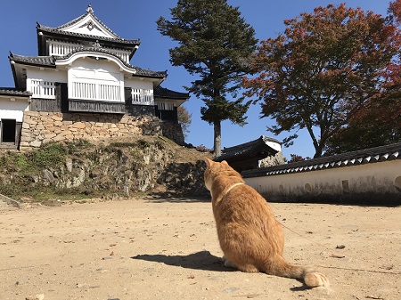 さんじゅーろー