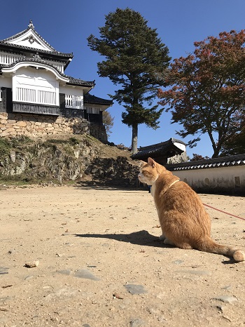 さんじゅーろー