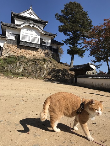 さんじゅーろー