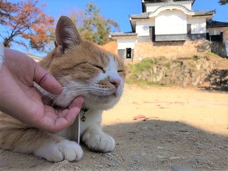 さんじゅーろー