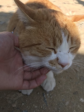 さんじゅーろー