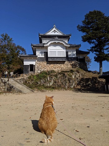 さんじゅーろー