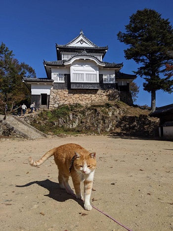さんじゅーろー