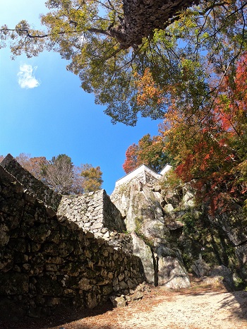 さんじゅーろー